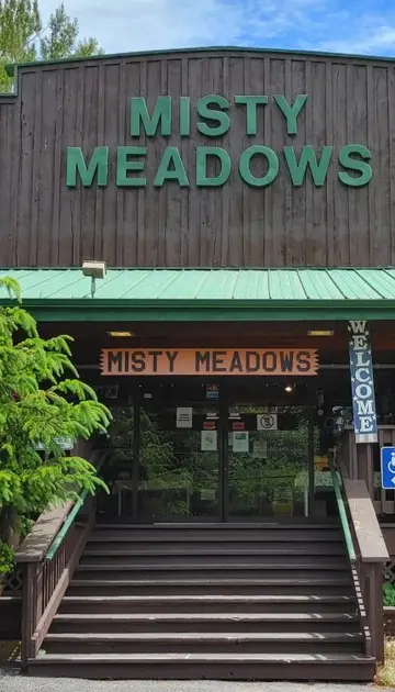 The Misty Meadows storefront: green letters over the porch sign and steps